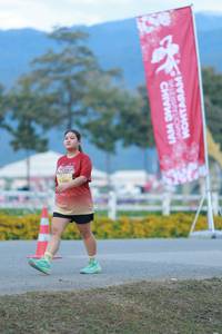 BIB: 
                            <button type="button" onclick="openModal(27852935)" class="btn btn-primary btn-sm float-right btn-popup" data-toggle="modal" data-target=".modal-high-quality">
                        <i class="fas fa-shopping-cart"></i> Add to Cart
                    </button>
                                            <button type="button" onclick="isThisMe(27852935, true)" class="btn btn-success btn-sm float-right btn-popup btn-isme hidden" data-toggle="tooltip" data-placement="bottom" title="นี่คือรูปของคุณใช่ไหม คลิกที่นี่เพื่อเอาเข้าอัลบั้ม">
                        <i class="fas fa-plus"></i> Add to album
                    </button>
                    <button type="button" onclick="isThisMe(27852935, false)" class="btn btn-warning btn-sm float-right btn-popup btn-isnotme hidden">
                        <i class="fas fa-ban"></i> Remove from album
                    </button>